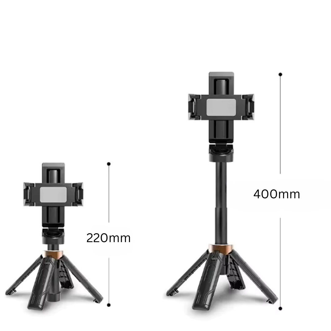 Mini selfie stick